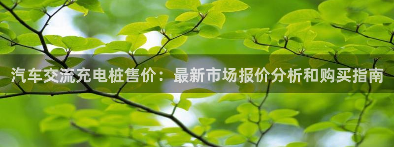 英国威廉希尔公司平台：汽车交流充电桩售价：最新市场报价分析和购买指南