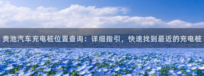 威廉官方旗舰店：贵池汽车充电桩位置查询：详细指引，快速找到最近的充电桩