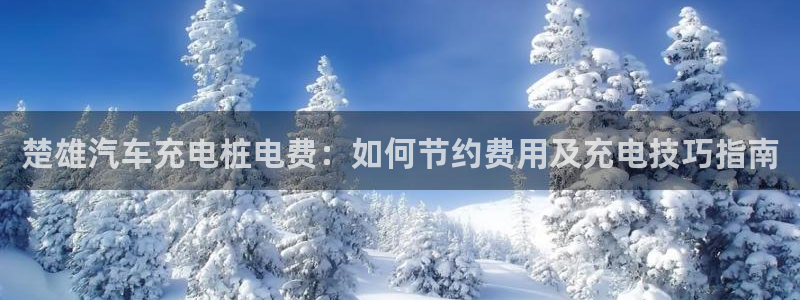 威廉希尔实体店：楚雄汽车充电桩电费：如何节约费用及充电技巧指南