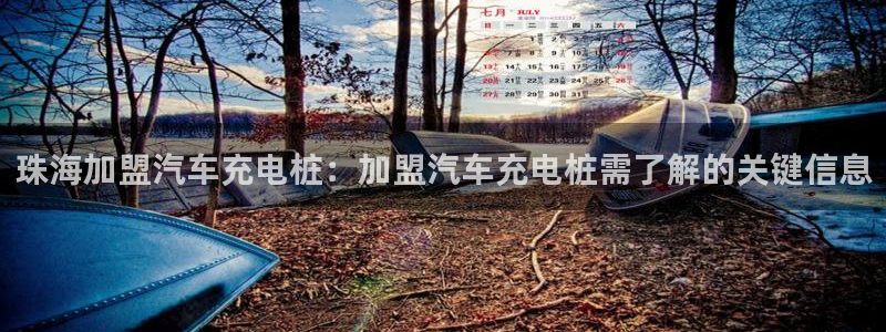 威廉希尔能预知比赛结果吗：珠海加盟汽车充电桩：加盟汽车充电桩需了解的关键信息