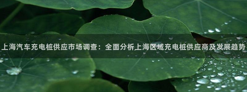 威廉希尔简称：上海汽车充电桩供应市场调查：全面分析上海区域充电桩供应商及发展趋势