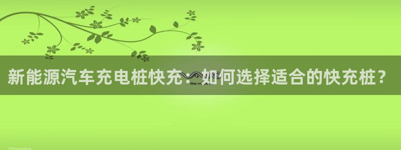 搜索威廉游戏主页：新能源汽车充电桩快充：如何选择适合的快充桩？
