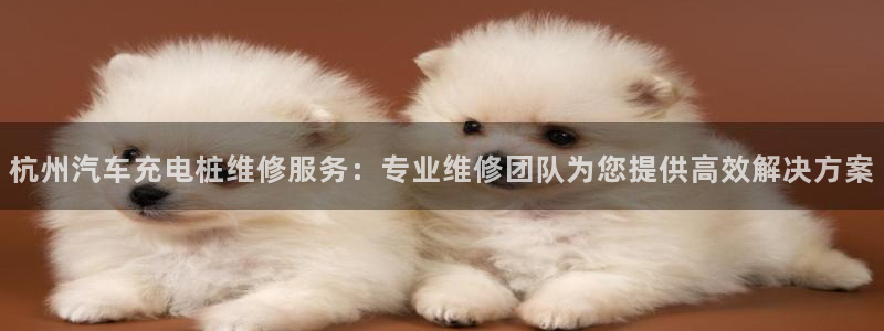 威廉体育中文解说：杭州汽车充电桩维修服务：专业维修团队为您提供高效解决方案