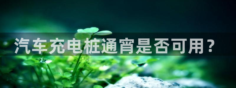 威廉希尔是最大的公司吗：汽车充电桩通宵是否可用？