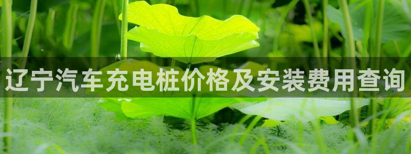 威廉希尔144指的是初盘?