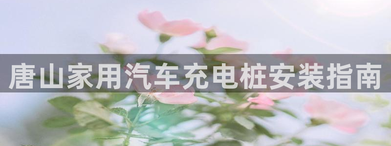 威廉国际骗局
