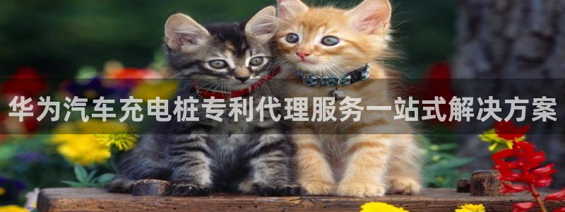 威廉希尔国内打开网址：华为汽车充电桩专利代理服务一站式解决方案