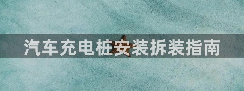 欧洲威廉希尔公司图片：汽车充电桩安装拆装指南