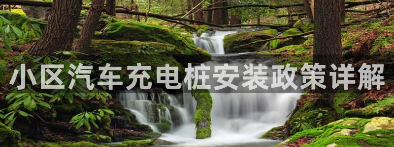 威廉国际：小区汽车充电桩安装政策详解