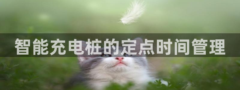 威廉希尔 1.62 3.75 4.50：智能充电桩的定点时间管理