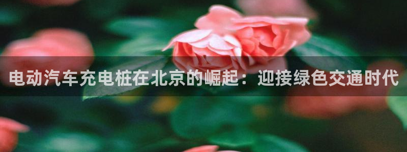威廉希尔中文官网：电动汽车充电桩在北京的崛起：迎接绿色交通时代
