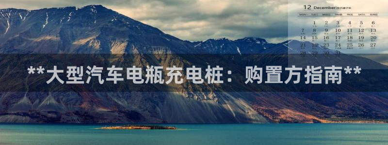 威廉客户端app下载安卓：**大型汽车电瓶充电桩：购置方指南**