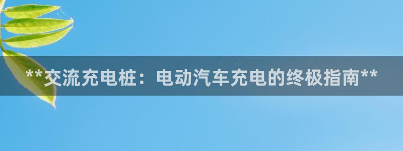 威廉希尔出款：**交流充电桩：电动汽车充电的终极指南**