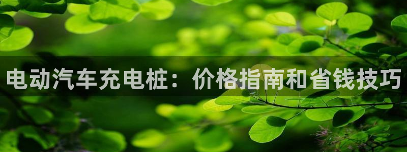 威廉和澳门：电动汽车充电桩：价格指南和省钱技巧