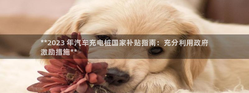 威廉希尔中国官网：**2023 年汽车充电桩国家补贴指南：充分利用政府
激励措施**