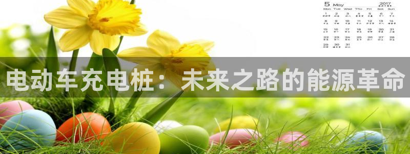 威廉希尔亚盘看盘技巧：电动车充电桩：未来之路的能源革命