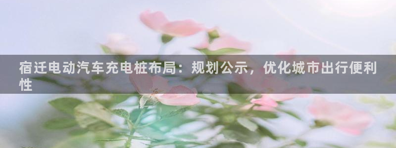 威廉希尔对比inter：宿迁电动汽车充电桩布局：规划公示，优化城市出行便利
性