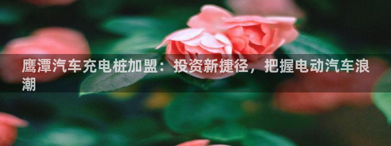 威廉希尔与立博的开盘特点：鹰潭汽车充电桩加盟：投资新捷径，把握电动汽车浪
潮