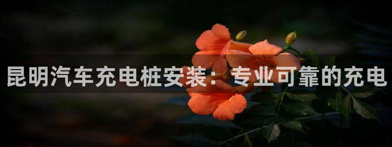 威廉国际是一个什么平台：昆明汽车充电桩安装：专业可靠的充电