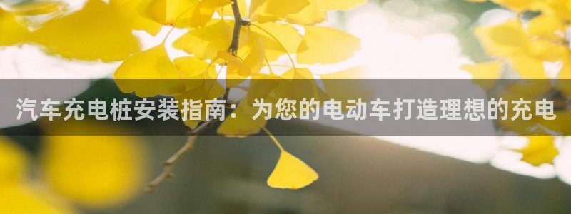 威廉希尔官网地址：汽车充电桩安装指南：为您的电动车打造理想的充电