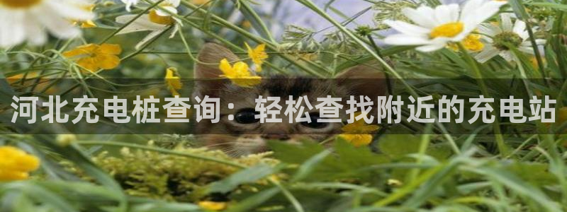 威廉希尔开盘中超maq：河北充电桩查询：轻松查找附近的充电站