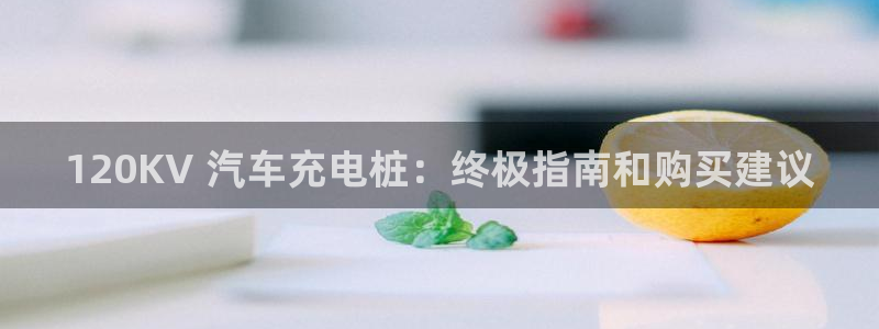 威廉希儿：120KV 汽车充电桩：终极指南和购买建议