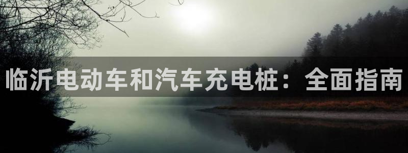 威廉希尔和inter对比：临沂电动车和汽车充电桩：全面指南