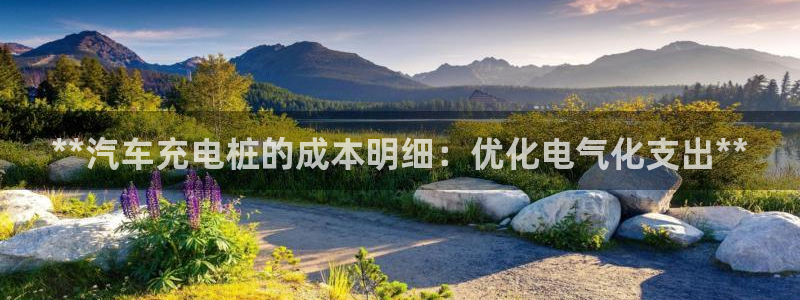 威廉希尔和立博相同项：**汽车充电桩的成本明细：优化电气化支出**