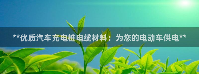 g 威廉：**优质汽车充电桩电缆材料：为您的电动车供电**