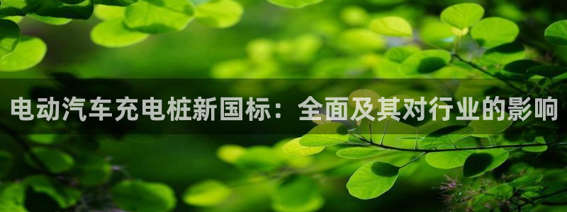 威廉与立博分析技巧：电动汽车充电桩新国标：全面及其对行业的影响
