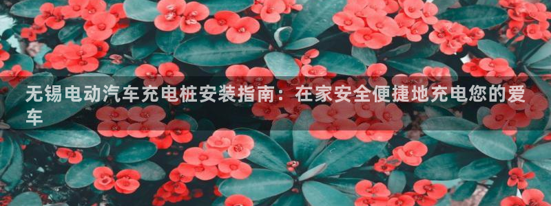 威廉体育中文：无锡电动汽车充电桩安装指南：在家安全便捷地充电您的爱
车