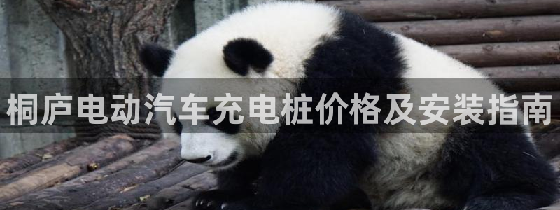 威廉希尔信誉怎么样