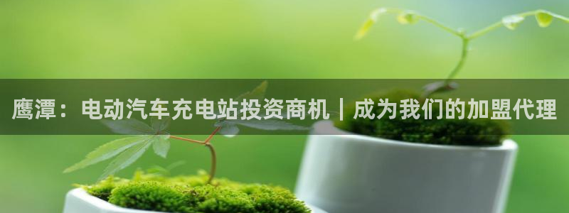 威廉与澳门盘的技巧：鹰潭：电动汽车充电站投资商机｜成为我们的加盟代理