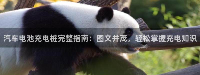 威廉国际平台介绍：汽车电池充电桩完整指南：图文并茂，轻松掌握充电知识