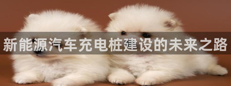 威廉体育官方
