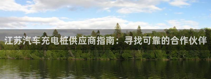 威廉希尔与立博比较：江苏汽车充电桩供应商指南：寻找可靠的合作伙伴
