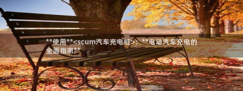 威廉希尔公司百度百科：**使用**<scum汽车充电桩>：**电动汽车充电的
全面指南**