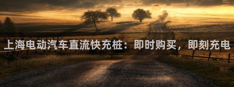 威廉希尔如何分析：上海电动汽车直流快充桩：即时购买，即刻充电