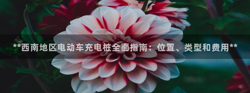 威廉希尔特点：**西南地区电动车充电桩全面指南：位置、类型和费用**