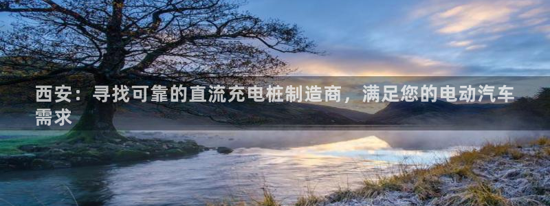 威廉士官方网站：西安：寻找可靠的直流充电桩制造商，满足您的电动汽车
需求