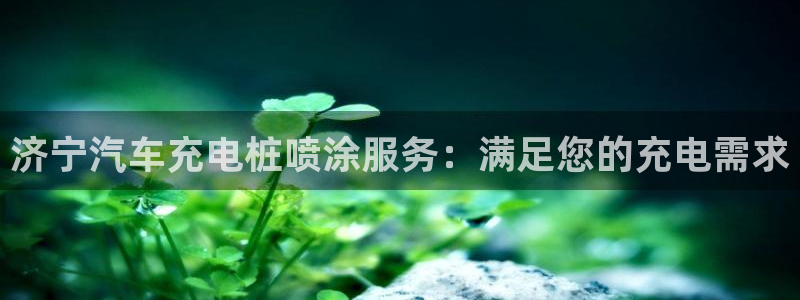 威廉希尔与立博对比分析：济宁汽车充电桩喷涂服务：满足您的充电需求