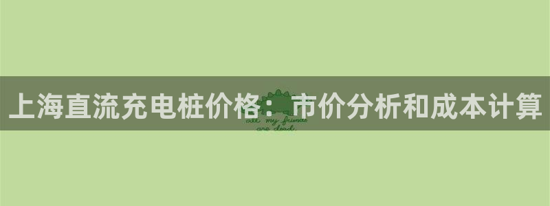 威廉客户端app下载安装：上海直流充电桩价格：市价分析和成本计算