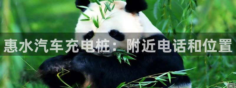 威廉希尔顿网址：惠水汽车充电桩：附近电话和位置