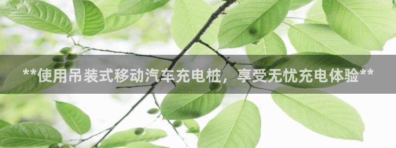 威廉希尔特点：**使用吊装式移动汽车充电桩，享受无忧充电体验**