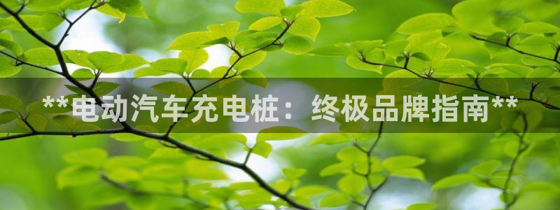 德乙澳门威廉：**电动汽车充电桩：终极品牌指南**