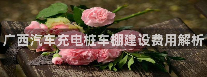 威廉体育官方app下载安装苹果：广西汽车充电桩车棚建设费用解析