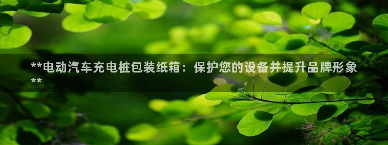 威廉希尔欧赔 1.44 4.60 6.00：**电动汽车充电桩包装纸箱：保护您的设备并提升品牌形象
**