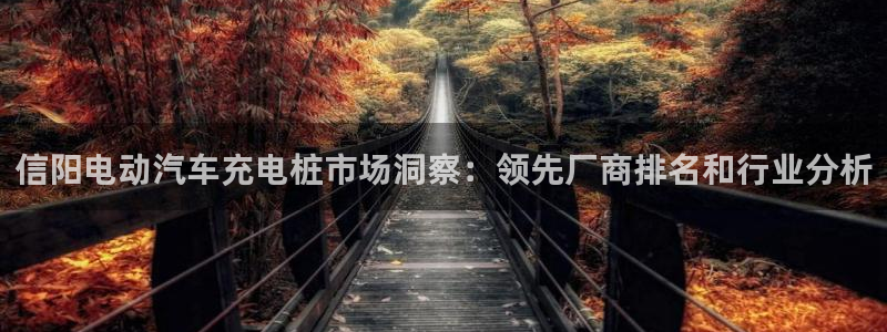 威廉指数设置多少合适：信阳电动汽车充电桩市场洞察：领先厂商排名和行业分析