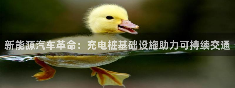 国内可以在威廉希尔买球吗：新能源汽车革命：充电桩基础设施助力可持续交通