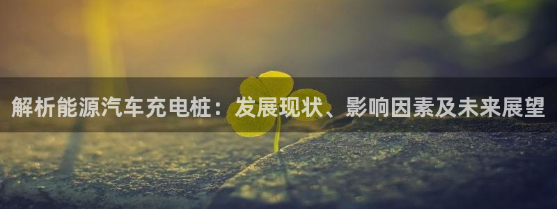 荷甲威廉希尔初赔研究：解析能源汽车充电桩：发展现状、影响因素及未来展望